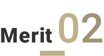 Merit02