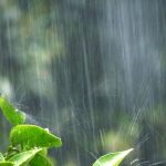 「水害」が多発・激甚化！自然災害リスクで不動産の価値が下がる？